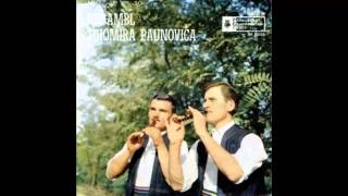 Tihomir Paunovic - Radetovo kolo - (Audio 1966) HD