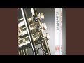 Concerto for Trumpet and Orchestra in D Major: II. Allegro moderato