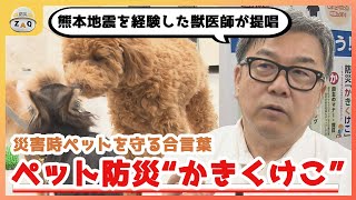 ペットを飼っている方必見‼災害時に役立つ備えの合言葉（こち安）