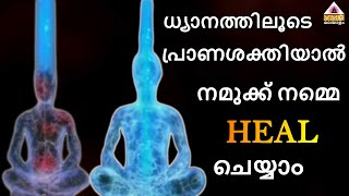 MEDITATION FOR BEGINNERS DAY-2 || SEEMA SUBASH || VMC MALAYALAM ||