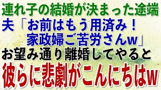 【スカッとする話】夫の連れ子の結婚が決まった途端「用済みのお前とは離婚だ！娘と赤の他人なのに家政婦ご苦労さんw」→ご要望にお答えし離婚した結果、元夫と元娘に悲劇が訪れ