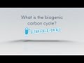 What is the biogenic carbon cycle? - Inside Renewable Fuels