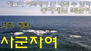 명포인트 항공촬영 36- 동해제일 독립여 포항 계원 '사군자여'