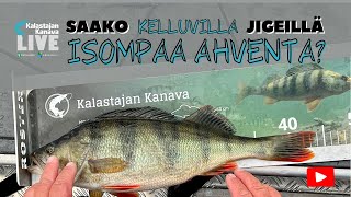 Saako kelluvilla jigeillä isompaa ahventa? | Kalastajan Kanavan LivE