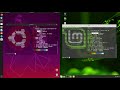 ubuntu 19.04 vs linux mint 19.1