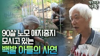 [다큐 ‘가족’ 18회①] 처자식 두고 혼자 고향 내려와 91살 노모 애지중지 모시는 66살 백발 아들