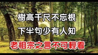 俗語：“樹高千尺不忘根”，下半句少有人知，老祖宗之言不可輕看