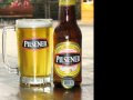 FALSO AMOR - JENNY ROSERO