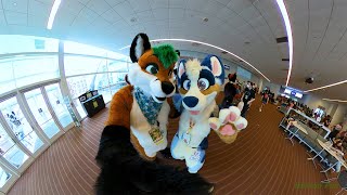 Anthrocon 2022 - Random Clips