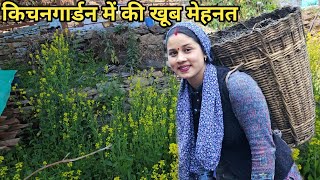 किचनगार्डन में नया बीज बोने की तैयारी || Preeti Rana || Pahadi lifestyle vlog || Triyuginarayan