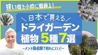 狭い庭を小粋に着飾る！日本で買えるドライガーデン植物5種7選