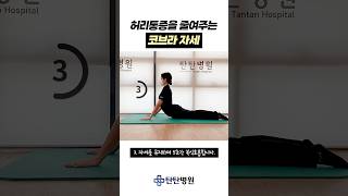 허리통증을 줄여주는 코브라 자세🐍