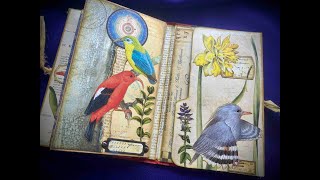 Whimsical Birds Little Altered Book - Episode 2