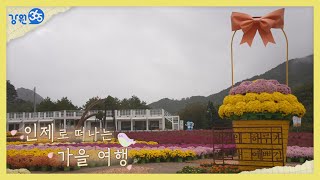 [강원365] 인제로 떠나는 가을여행! 인제가을꽃축제 \u0026 현대조각초대전