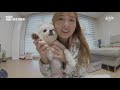 뽀미 최애 잠옷🥼 몽땅 공개 feat.숭늉이🐶 pajamas haul