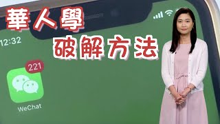 【on.cc東網】東網點評：美國下令封禁微信　華人呻「簡直斷臂」