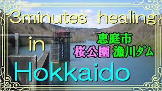 北海道　癒しの小空間（恵庭市・漁川ﾀﾞﾑ）3minutes  healing  in  Hokkaido