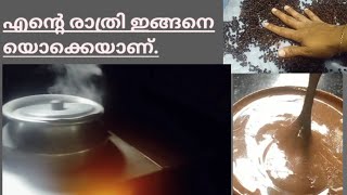 രാത്രിയിലെ മക്കളുടെ തിരക്കും എന്റെ ജോലിയും.daily vlogs