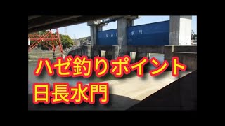 ハゼ釣りポイント　日長水門　愛知県知多半島　新舞子マリンパーク付近