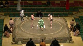 勝ち越しをかけた3勝3敗対決/北斗-田井中/2017.5.27/tokuto-tainaka/day14 #sumo