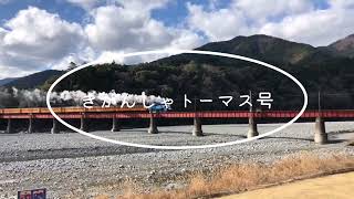 大井川鐡道を走るきかんしゃトーマス号