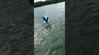 Real life Little Mermaid! 🧜♀️