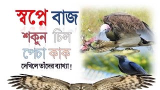 স্বপ্নে বাজ শকুন  চিল পেচা কাক দেখিলে তাঁদের ব্যাখ্যা | Shopner Tabir | Shopner Bekkha