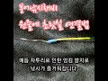 붕어낚시채비 원줄과 초릿실의 깔끔한 매듭법