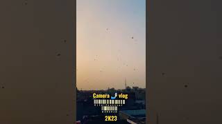 Barddhaman Kite Mela 2023 | Bardhaman kite Mela 2k23 | kite festival burdwan