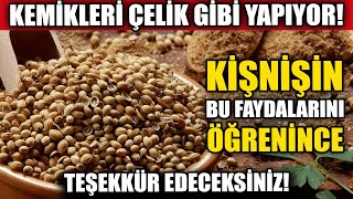 Kişnişin Bu Faydalarını Öğrendiğinizde Onu Her Gün Tüketeceksiniz!