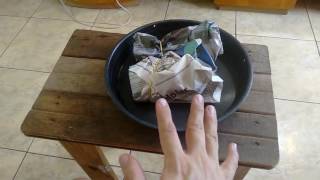 Unboxing Cattleya nobilior seedlings