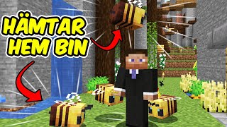 HÄMTAR HEM BIN TILL RAVINEN I MINECRAFT - Lets play - S6E12