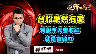 中視【股林高手】20230922 #林鈺凱：台股果然有愛 我說今天會收紅 就是會收紅 #中視新聞 #股林高手