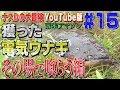 【#15】ナスDの大冒険YouTube版！南米アマゾン 獲った電気ウナギその場で喰らう編/Crazy Director 's  Gigantic Electrical eel Caught