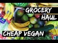 CHEAP VEGAN GROCERY HAUL || Aldi + Walmart