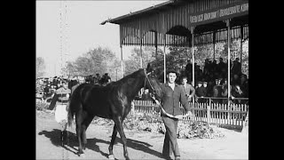 Дніпропетровський іподром 1955 рік