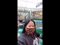 view sa loob ng west edmonton mall alberta canada...