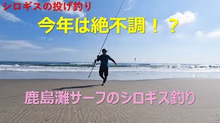 【シロギスの投げ釣り】2023年絶不調の鹿島灘サーフでキス釣りしてきました。