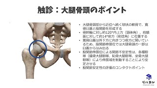 大腿骨頭の触診のコツ［骨の触診］