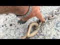 Anchor Shackle Safety -part 1