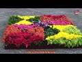 2019驚豔10萬 盆 朵鮮花創意大花毯！臺北中正紀念堂 flowers and creative stunning large flower carpe