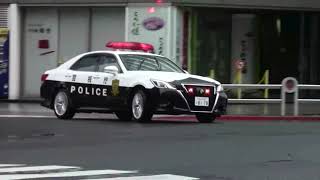 【警察】赤無視070 信号無視の銀色軽ワンボックスを追う白黒パトカー