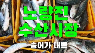 한국韓國 노량진 수산시장 (새벽)