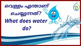 ജലം അതിന് ചുറ്റുമുള്ളവയെ എങ്ങനെ സ്വാധീനിക്കുന്നു? ( voice by Lloyd, Editing by Suraj)