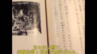 濹東綺譚 永井荷風(30秒蔵書紹介)