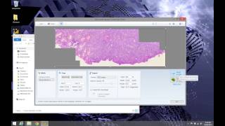 Microscope Photography Stitching with Microsoft ICE