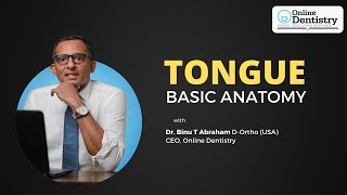 Tongue - Basic Anatomy