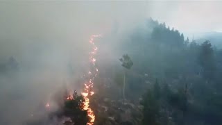 Über mehrere Tausend Hektar: Heftige Waldbrände wüten in Schweden