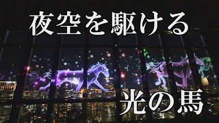 東京タワー とJRAがコラボ！ 「Dream in the Sky」 夜のメインデッキ プロジェクションマッピング/有馬記念