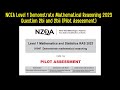 NCEA Level 1 - Demonstrate Mathematical Reasoning 2023 Question 2bi and 2bii (Pilot Assessment)